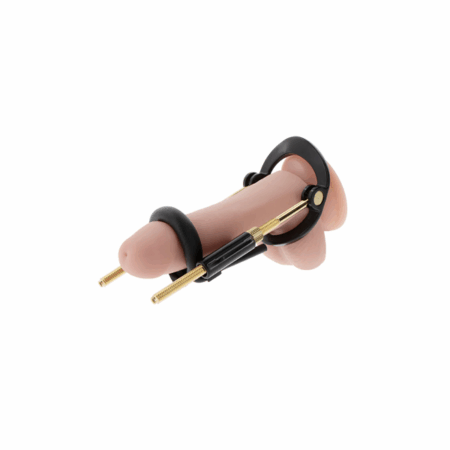 Penis Growth Training Basic Set